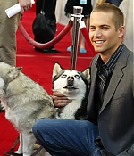 Filename=011.jpg
Filesize=70KiB
Dimensions=600x431
Date added=%691 %17, %2010 011.jpg