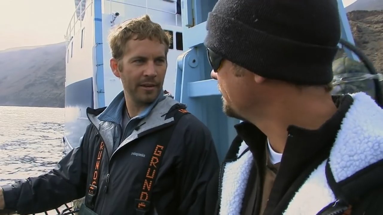 IAmPaulWalker_2777.jpg