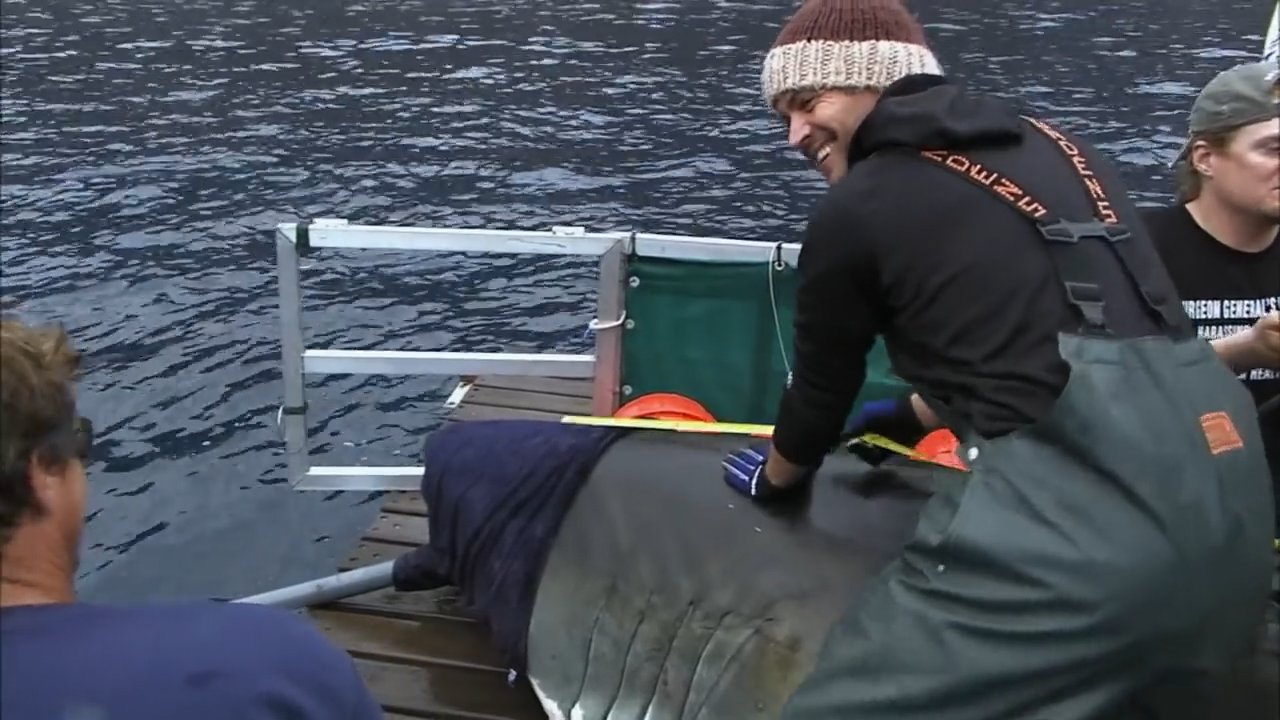 IAmPaulWalker_2798.jpg