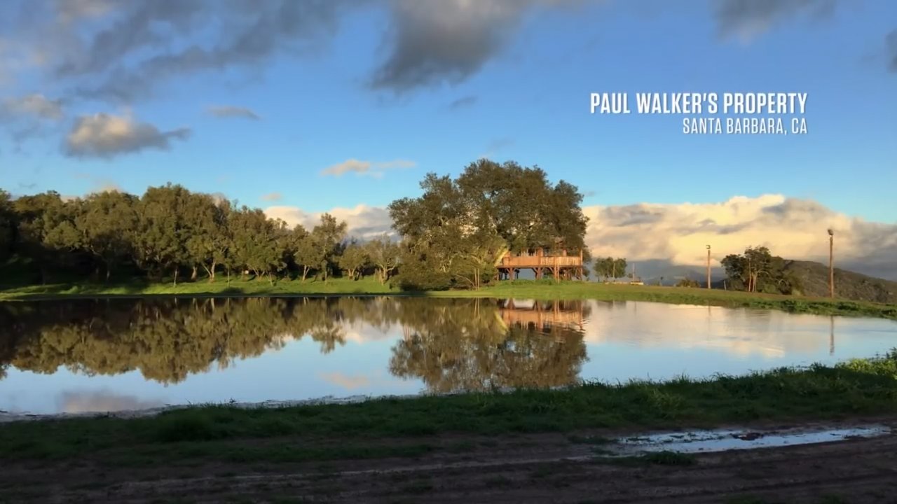 IAmPaulWalker_2912.jpg