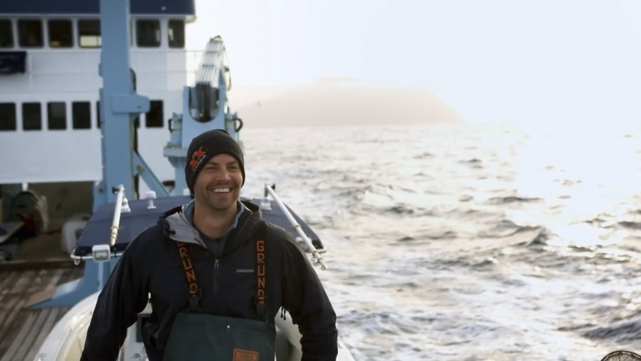IAmPaulWalker_4618.jpg